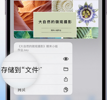 凌云apple维修中心分享iPhone文件应用中存储和找到下载文件