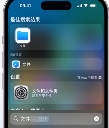 凌云apple维修中心分享iPhone文件应用中存储和找到下载文件 