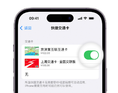 凌云apple维修点分享iPhone上更换Apple Pay快捷交通卡手绘卡面 