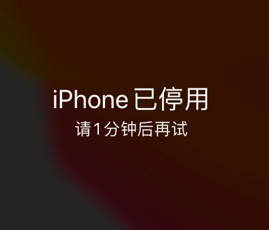 凌云苹果手机维修分享:iPhone 显示“不可用”或“已停用”怎么办？还能保留数据吗？ 