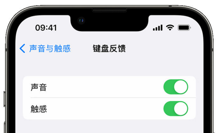 凌云苹果手机维修分享iPhone 14触感键盘使用方法 