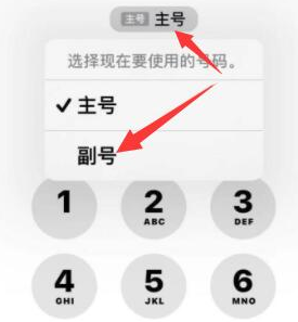 凌云苹果14维修店分享iPhone 14 Pro Max使用副卡打电话的方法 