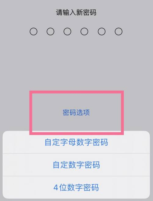 凌云苹果14维修分享iPhone 14plus设置密码的方法 