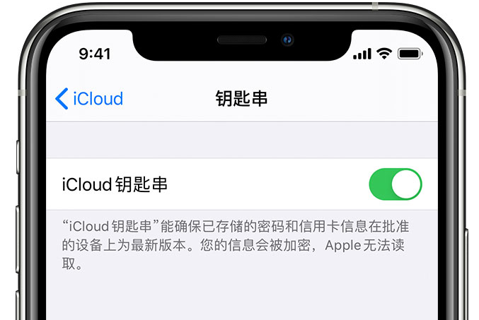 凌云苹果手机维修分享在 iPhone 上开启 iCloud 钥匙串之后会储存哪些信息 